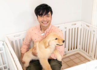 ทำความรู้จัก “โค้ชเชาว์” อาชีพฝึกสุนัขในบ้าน รายได้หลักแสนต่อเดือน