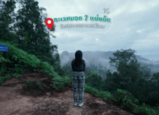 Go with me คนเดียวก็เที่ยวได้ ชวนเที่ยว เขตรักษาพันธุ์สัตว์ป่าฮาลา-บาลา • ทะเลหมอกสองแผ่นดิน • ชมนกเงือก • น้ำตกสิรินธร