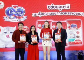 “ยูนิ.ชาร์ม” เดินหน้าสานต่อความสำเร็จจากญี่ปุ่น สู่ตลาดอาหารแมวไทย เปิดตัว “กินโนะ แคท กูร์เมต์”