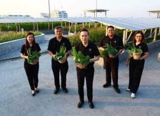 ธพส. ขับเคลื่อน “เมืองคาร์บอนต่ำที่ทำงานร่วมกับธรรมชาติ” สู่ต้นแบบ “ศูนย์ราชการแห่งศตวรรษที่ 21”