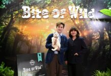 เต๋า – เศรษฐพงศ์ ควงลูกสาว น้องแฮปปี้เปิดตัวครั้งแรก ในงาน Bite of Wild “ชุมทางเชฟเสือ” ผลิตภัณฑ์อาหารแมวระดับพรีเมียม