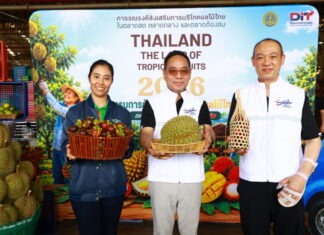 พาณิชย์ลุยแคมเปญ Thailand : The Land of Tropical Fruits 2026 ดึงตลาดกลาง–ตลาดสดร่วมกระจายผลผลิต