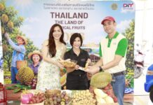พาณิชย์ชวนอุดหนุนผลไม้ไทยที่ “ตลาดธันยา อ้อมใหญ่” ดันแคมเปญ Thailand : The Land of Tropical Fruits 2026